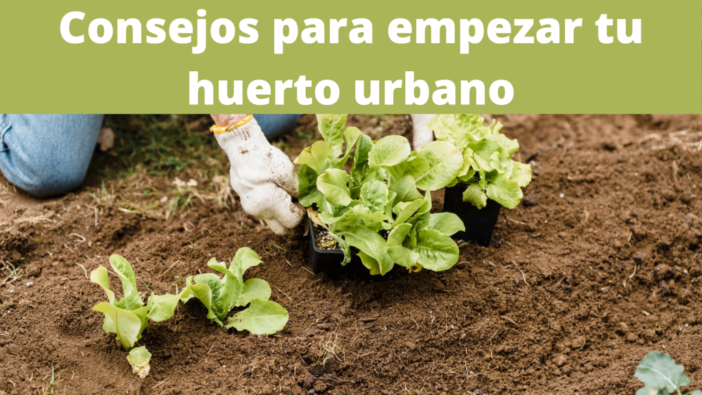 Consejos para montarte tu propio huerto urbano - Jardinería