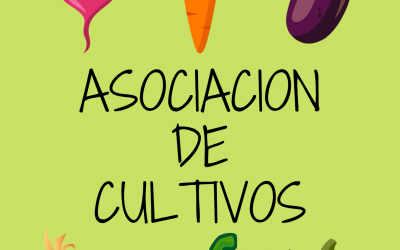 Asociación de cultivos