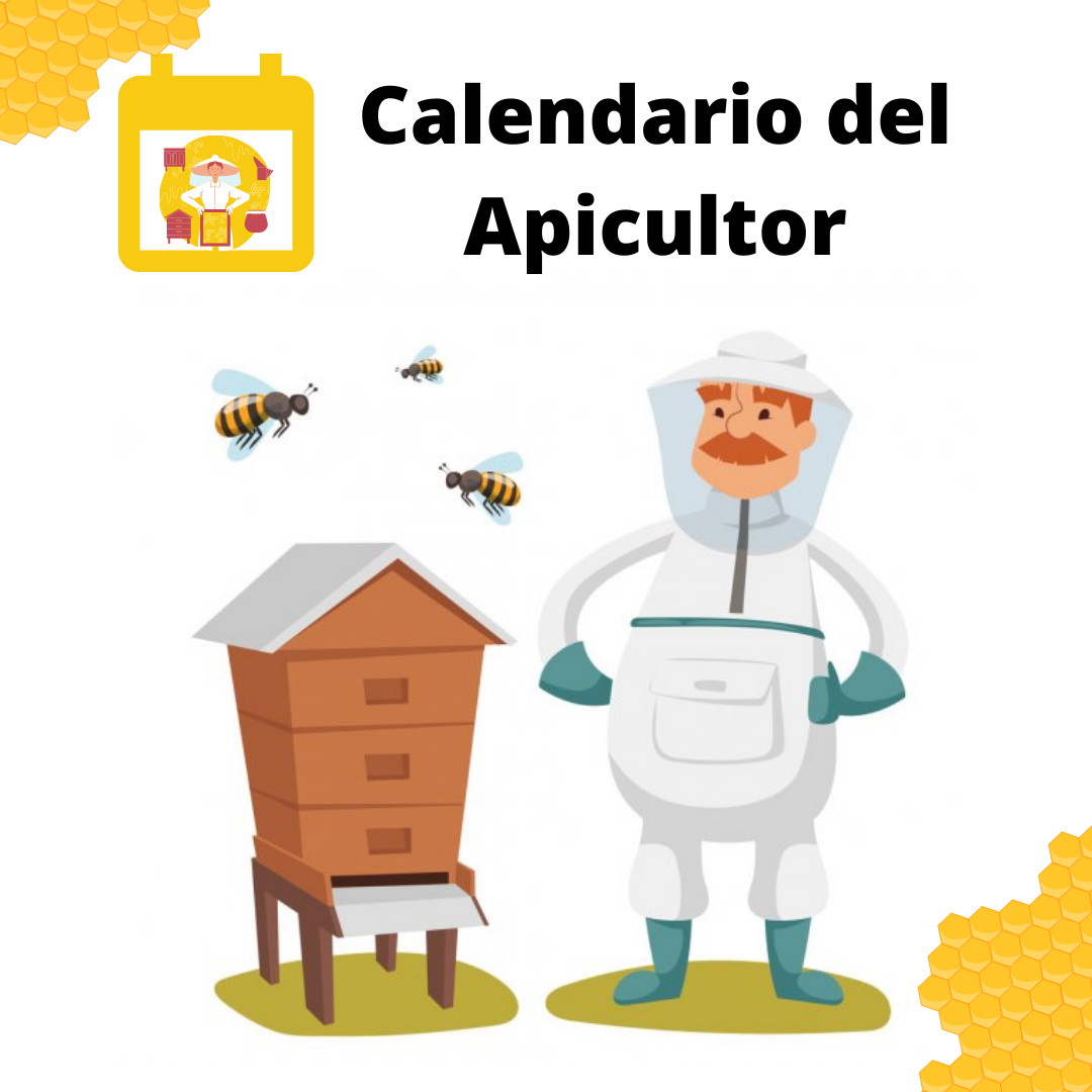 Apicultor