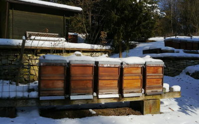 Cuidados de la colmena en invierno