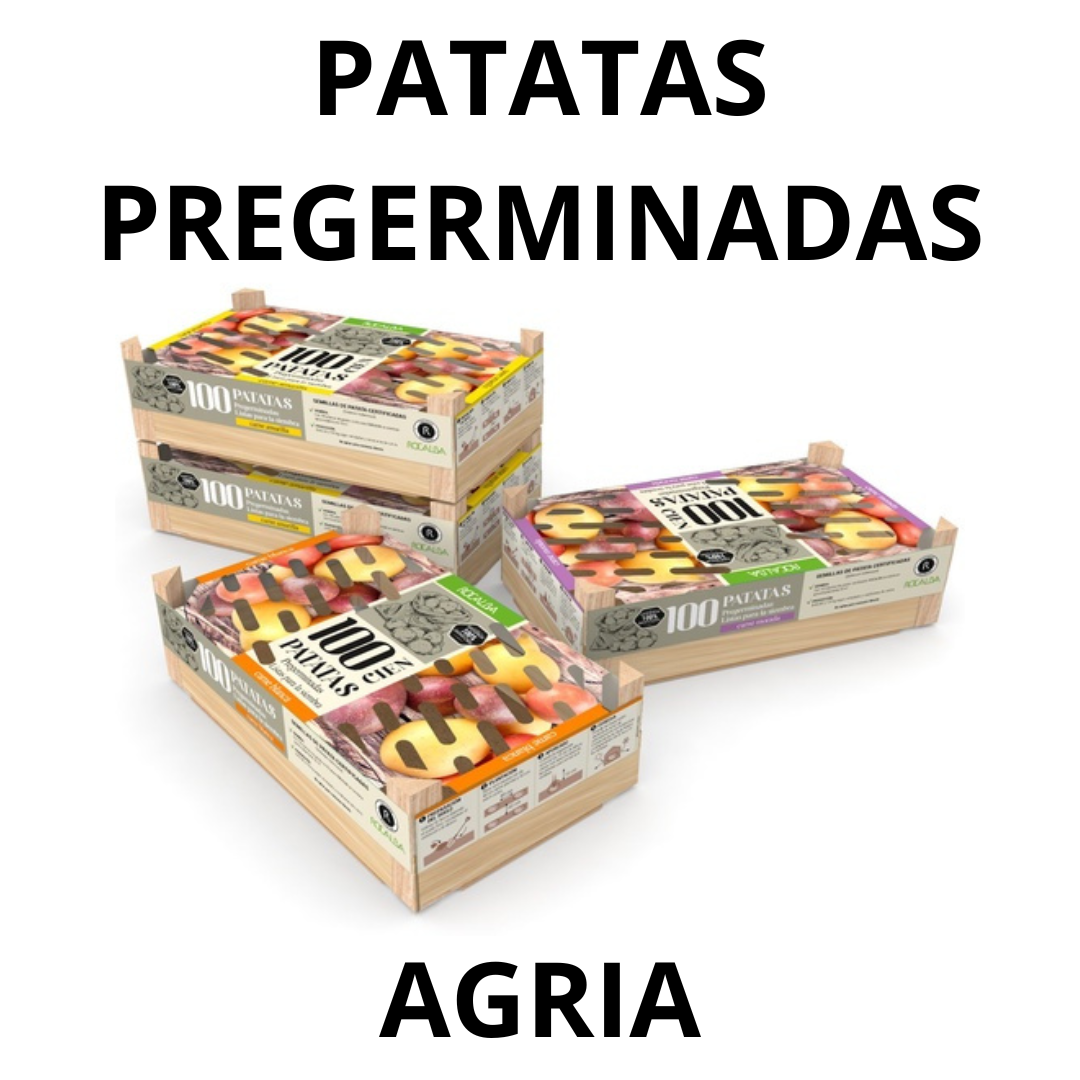 Bandeja de patatas - Todos los fabricantes de la agricultura
