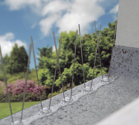 2007045_A1.jpg-478x430