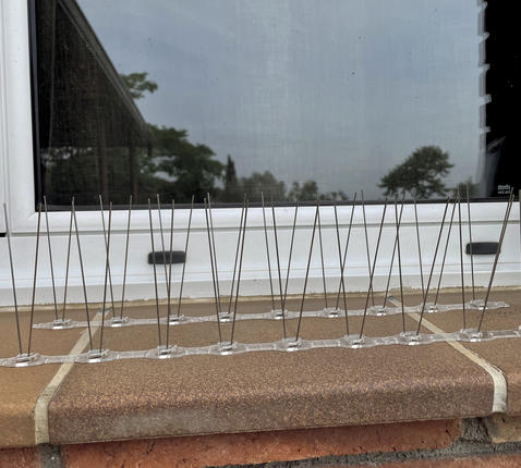 2007045_A2.jpg-478x430