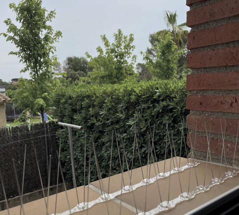 2007045_A3.jpg-478x430