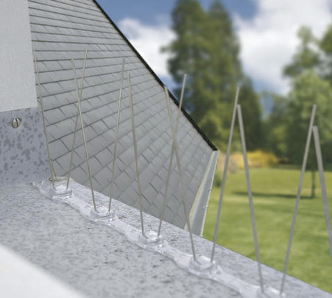 2007045_a.jpg-478x430