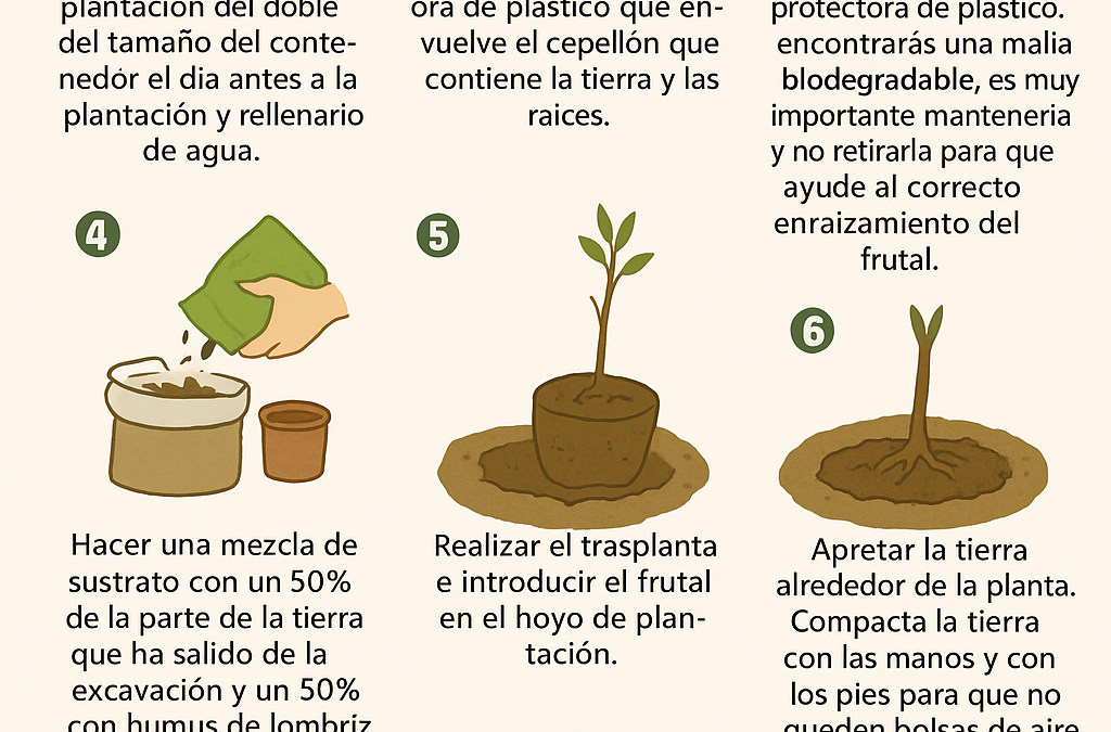 Cómo plantar árboles