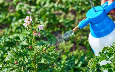 Consejos para usuarios no profesionales de fitosanitarios