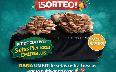 BASES LEGALES DEL SORTEO