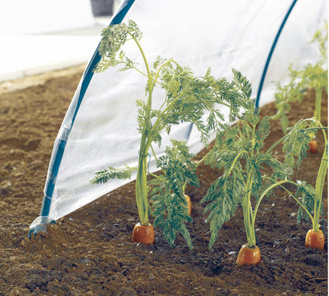 130006Z1.jpg-478x430