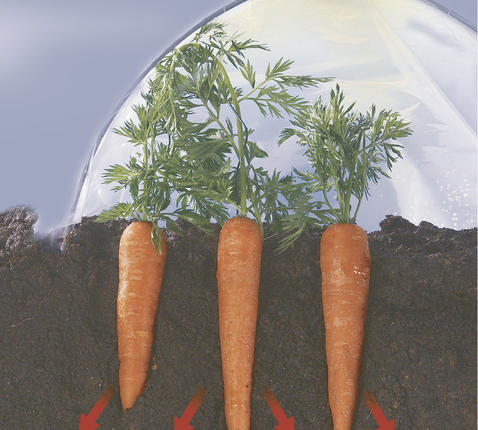 130006Z2.jpg-478x430