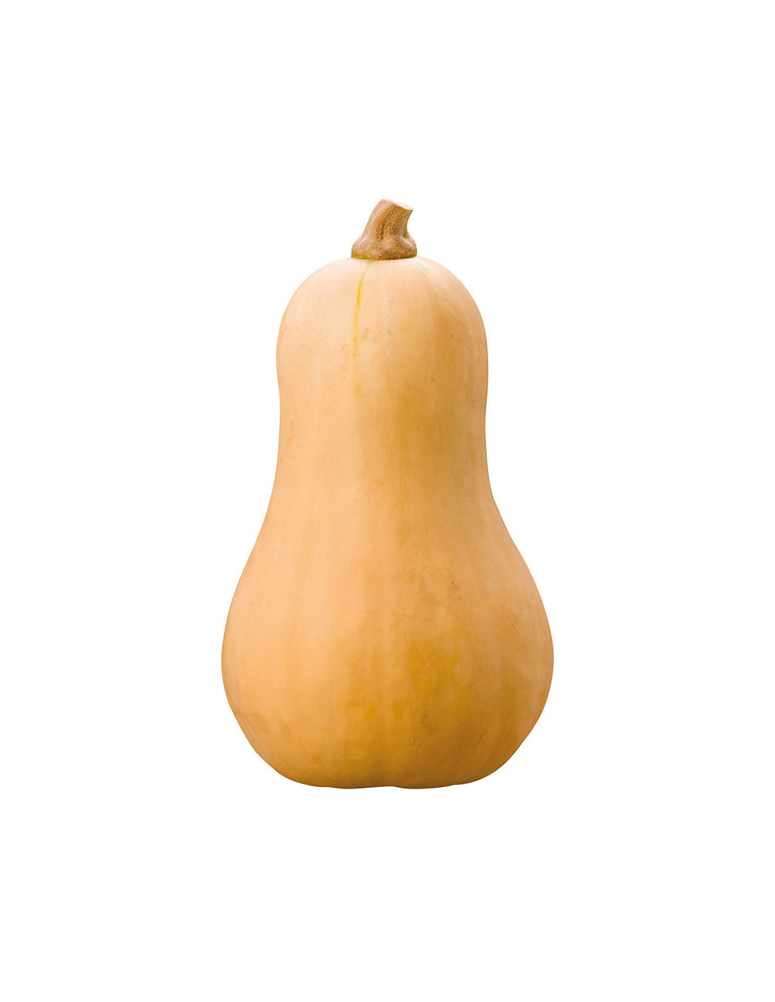 calabaza-cacahuete