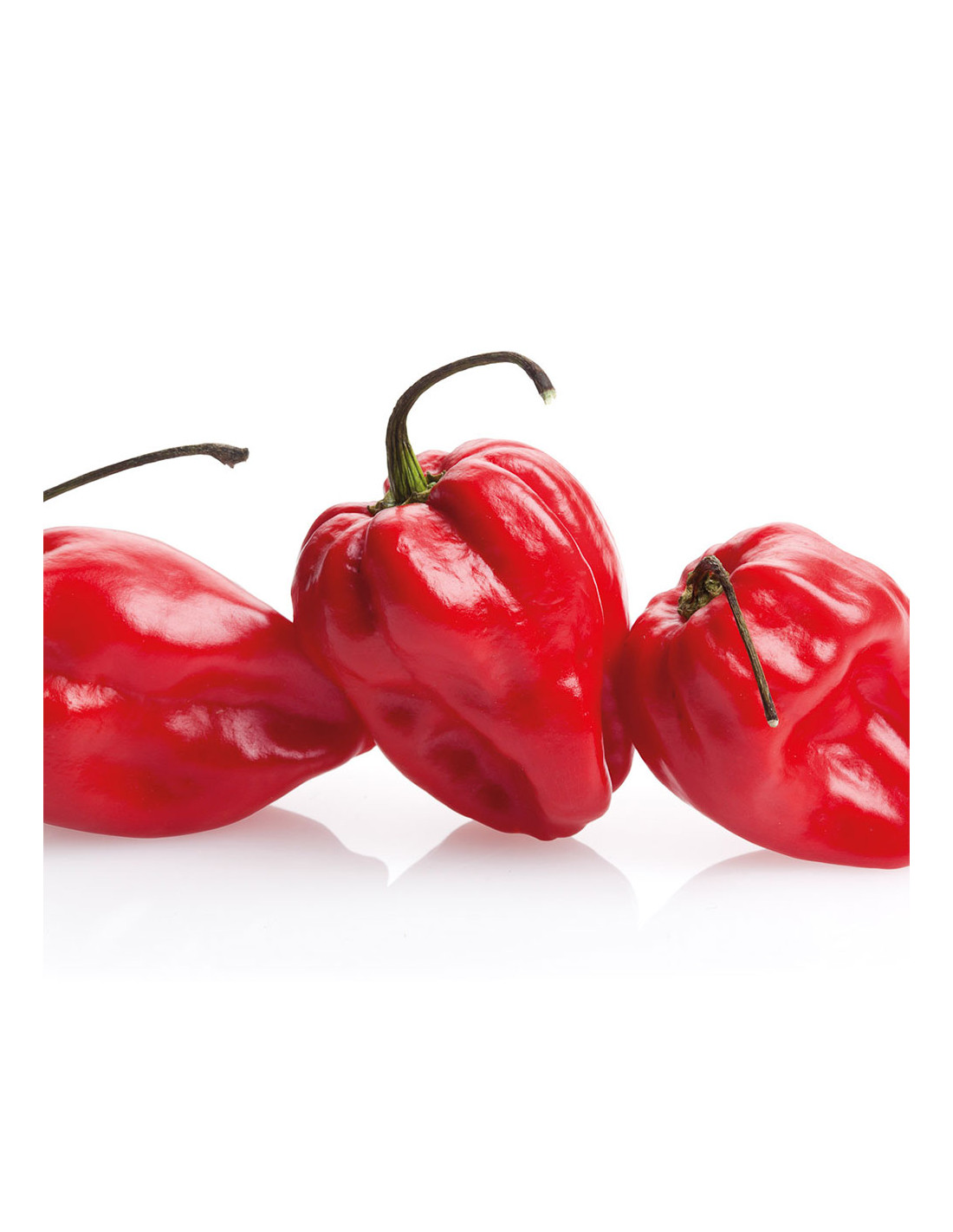 pimiento-picante-habanero (1)