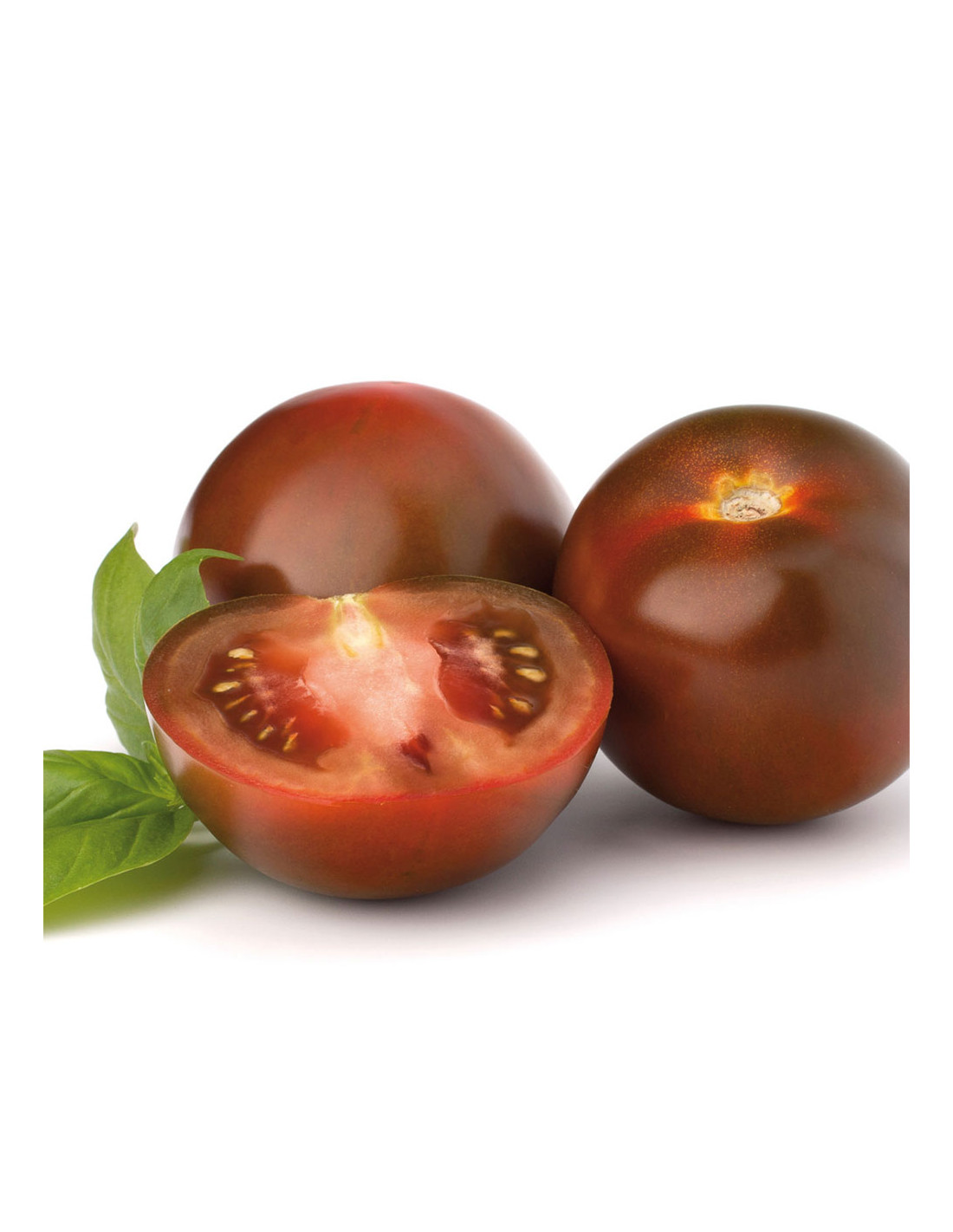 tomate-moreno-inj (1)