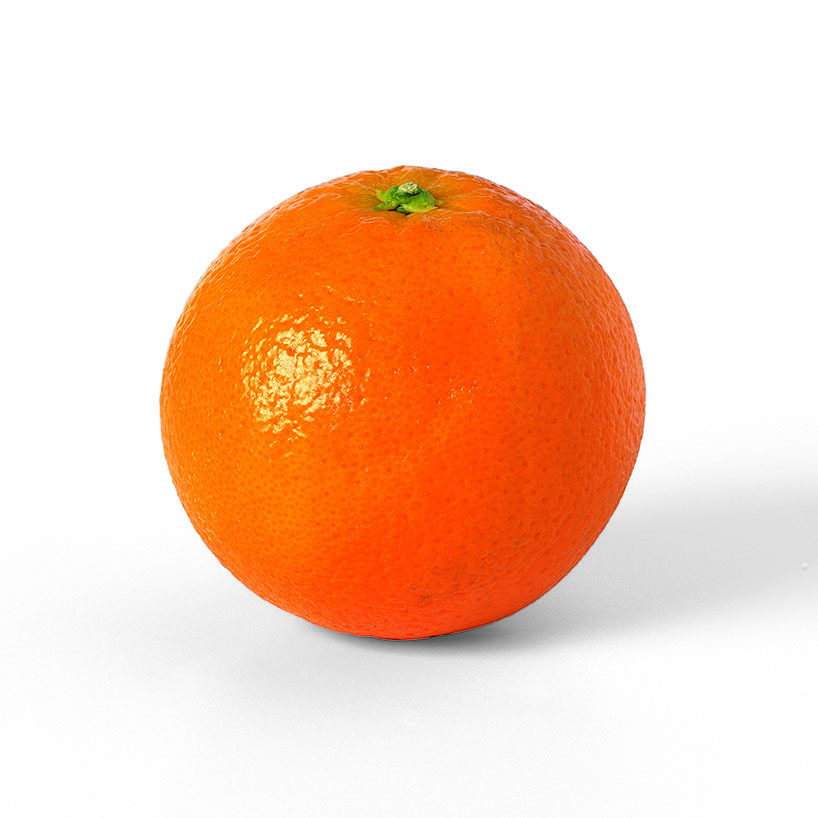 naranjo-lane-late-variedad-navel